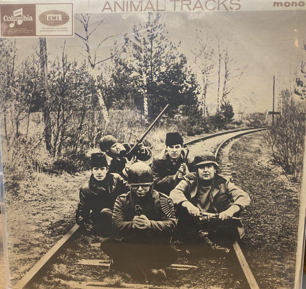 Animals - Animal Tracks