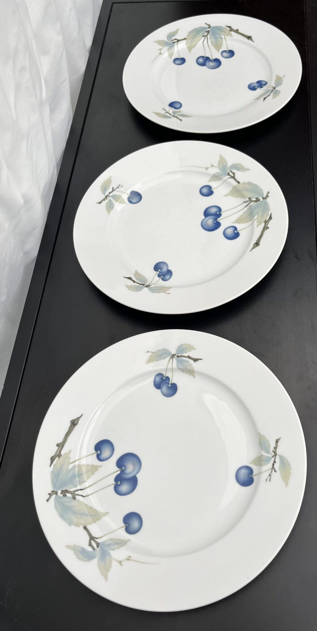 6st "Blue Cherry" Tallrikar - Rosenthal - Image 3