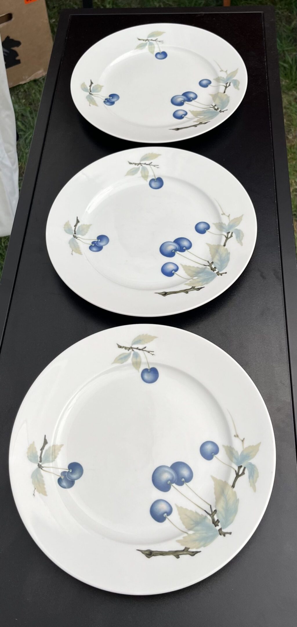 6st "Blue Cherry" Tallrikar - Rosenthal - Image 2
